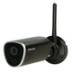 IP-Kameras