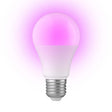 1437573|SMARTBULB10