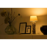 1437458|SMARTLIGHT110