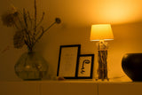 1461294|SMARTLIGHT130