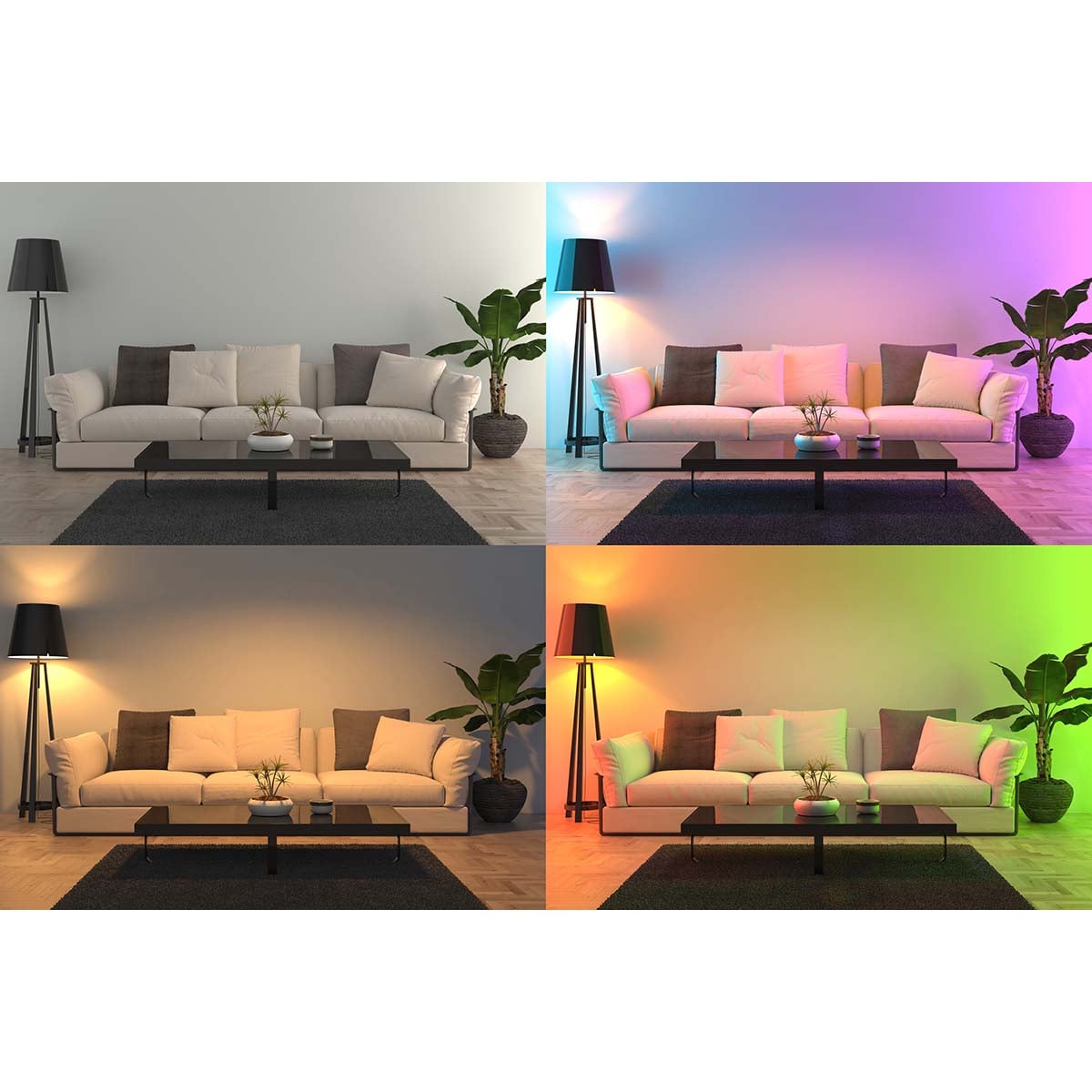 1437489|SMARTLIGHT40