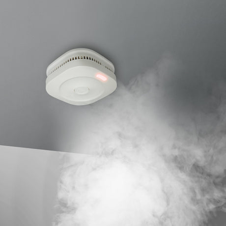 1462466|SMARTSMOKE11 4